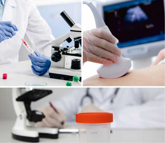 Best IVF Centre, Fertility Clinic in Mira Road–ANSH Fertility by Dr Maya Prasad